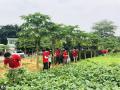 惠州团建公司聚会拓展培训的好去处推荐