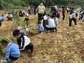 惠州班级亲子游可以植树的农家乐果盛生态园
