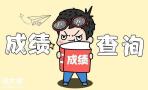 2020年监理工程师成绩查询