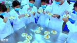 广州食品检验员资格证书考试地址