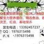 谁在网上收购如新安然纳米急需回收