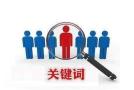 广州做关键词排名优化的公司，使企业获得更大利益