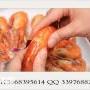 美腩子烧汁虾米饭快餐加盟费多少?加盟条件是什么?
