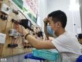 广州番禺低压电工班哪里可以报名