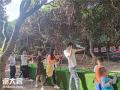 深圳福永农家乐野炊烧烤户外活动一日游