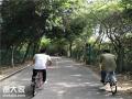 深圳凤凰山好玩的野炊烧烤团建农家乐就选田中园生态园