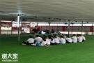 深圳南山农家乐团建哪里好（深圳可以进行公司团建的农家乐）