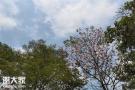 深圳市龙岗适合公司团建推荐田中园拓展基地