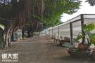 深圳罗湖户外柴火野炊团建活动农家乐哪里好