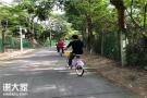 深圳福田农家乐户外团建怎么样做（最实用的户外团建方法）