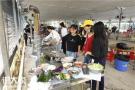 深圳罗湖周边最适合公司团建的农家乐活动方案