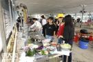 深圳松岗周边农家乐野炊团建活动项目推荐田中园生态园
