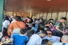 深圳市南山周边农家乐野炊团建活动一日游