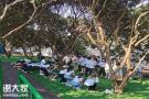 深圳龙华农家乐户外团建活动公司聚餐的好地方