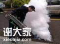 广州白蚁预防与灭杀空气治理