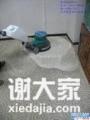 广州洪升专业清洗地毯服务公司