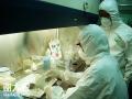 南京化验员微生物检验员资格证考证报名证书全国通用